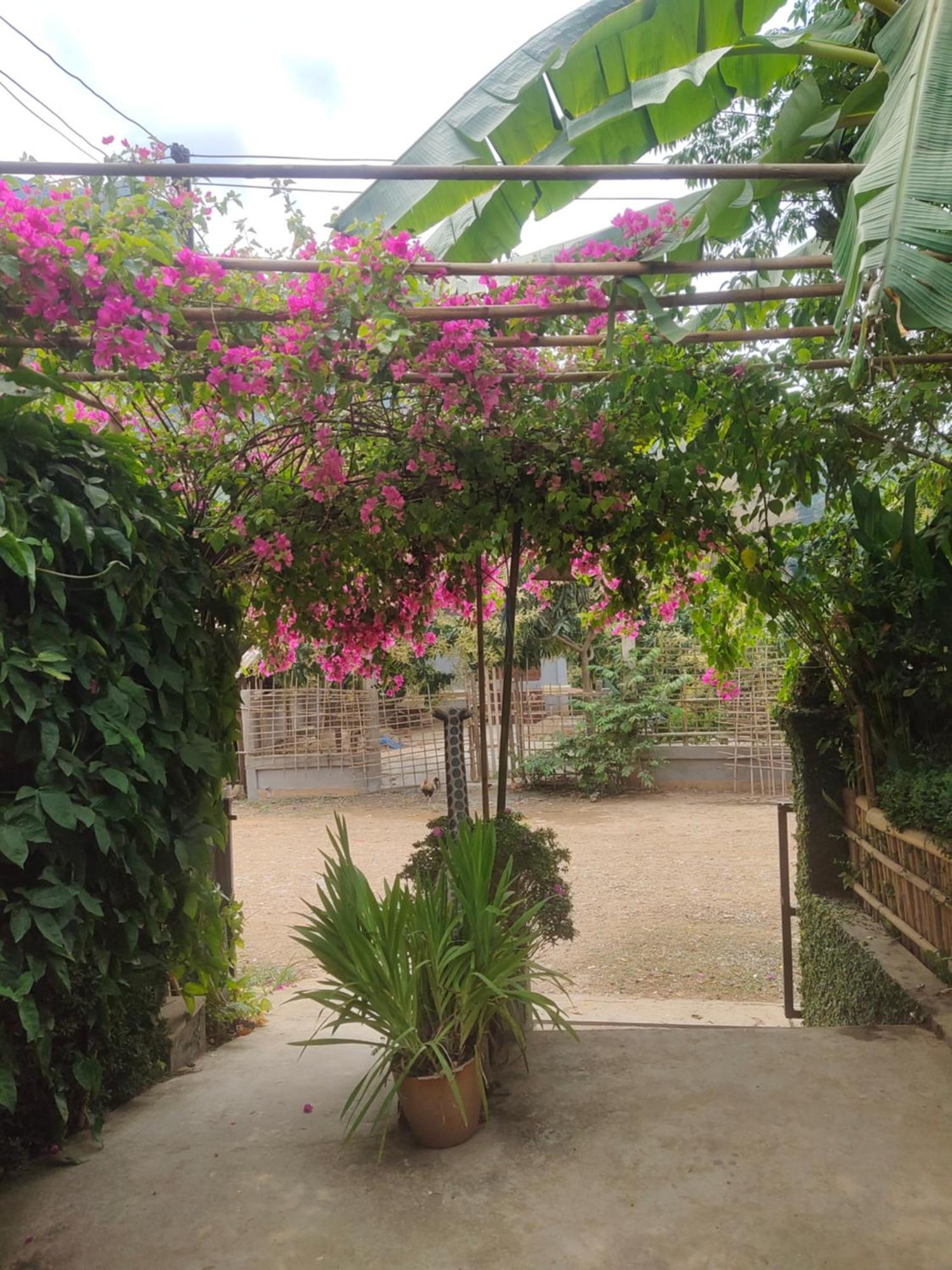 Meexok Guesthouse Nongkhiaw Εξωτερικό φωτογραφία