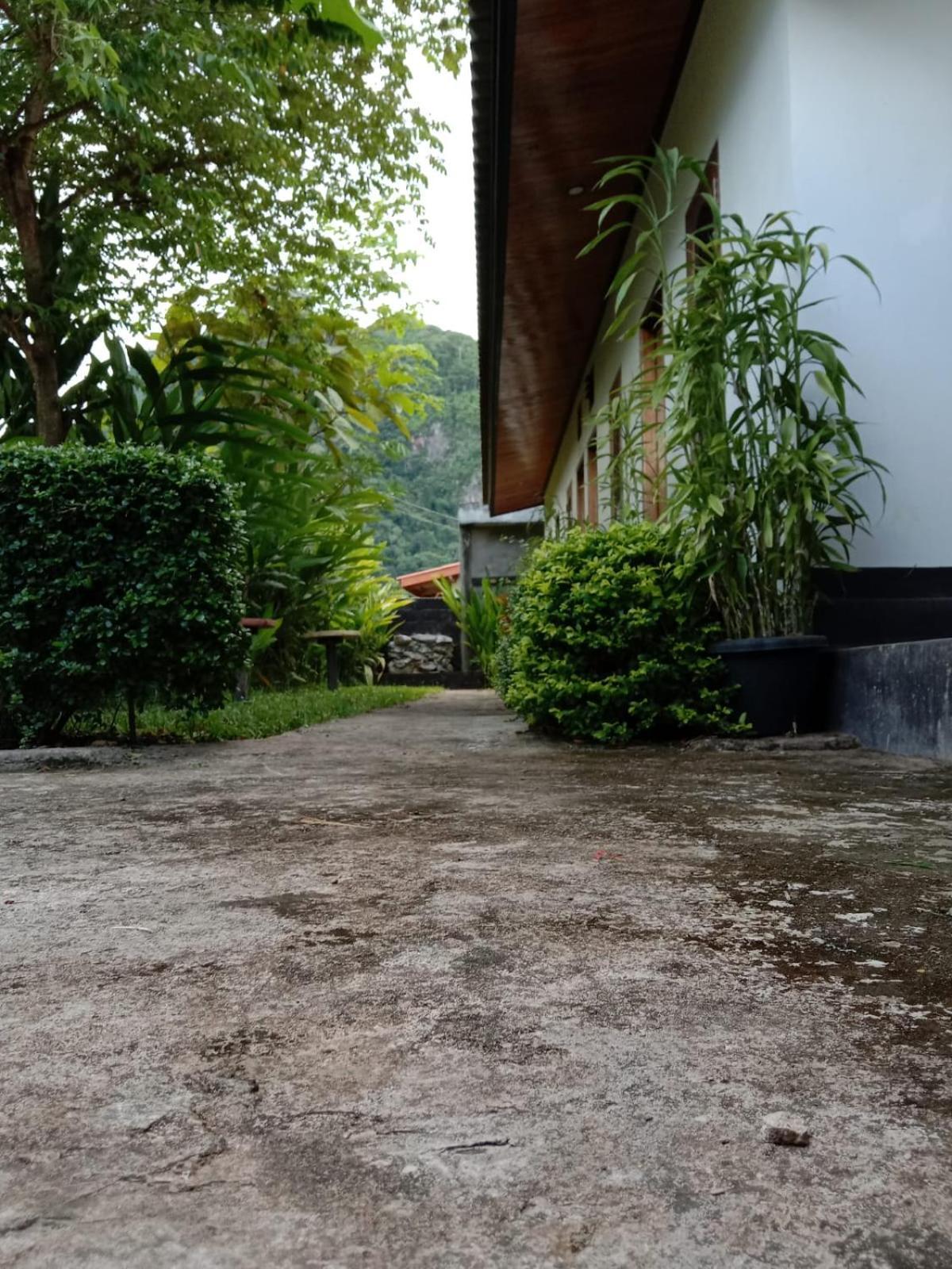 Meexok Guesthouse Nongkhiaw Εξωτερικό φωτογραφία